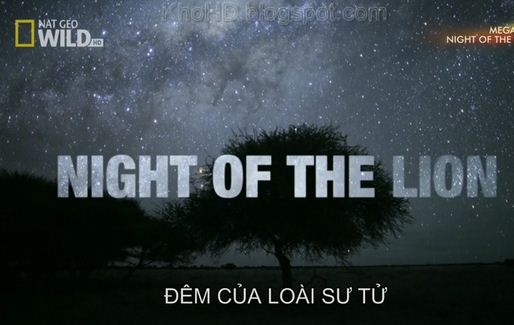 KH070 - Document - Night Of The Lion (2.3G)
